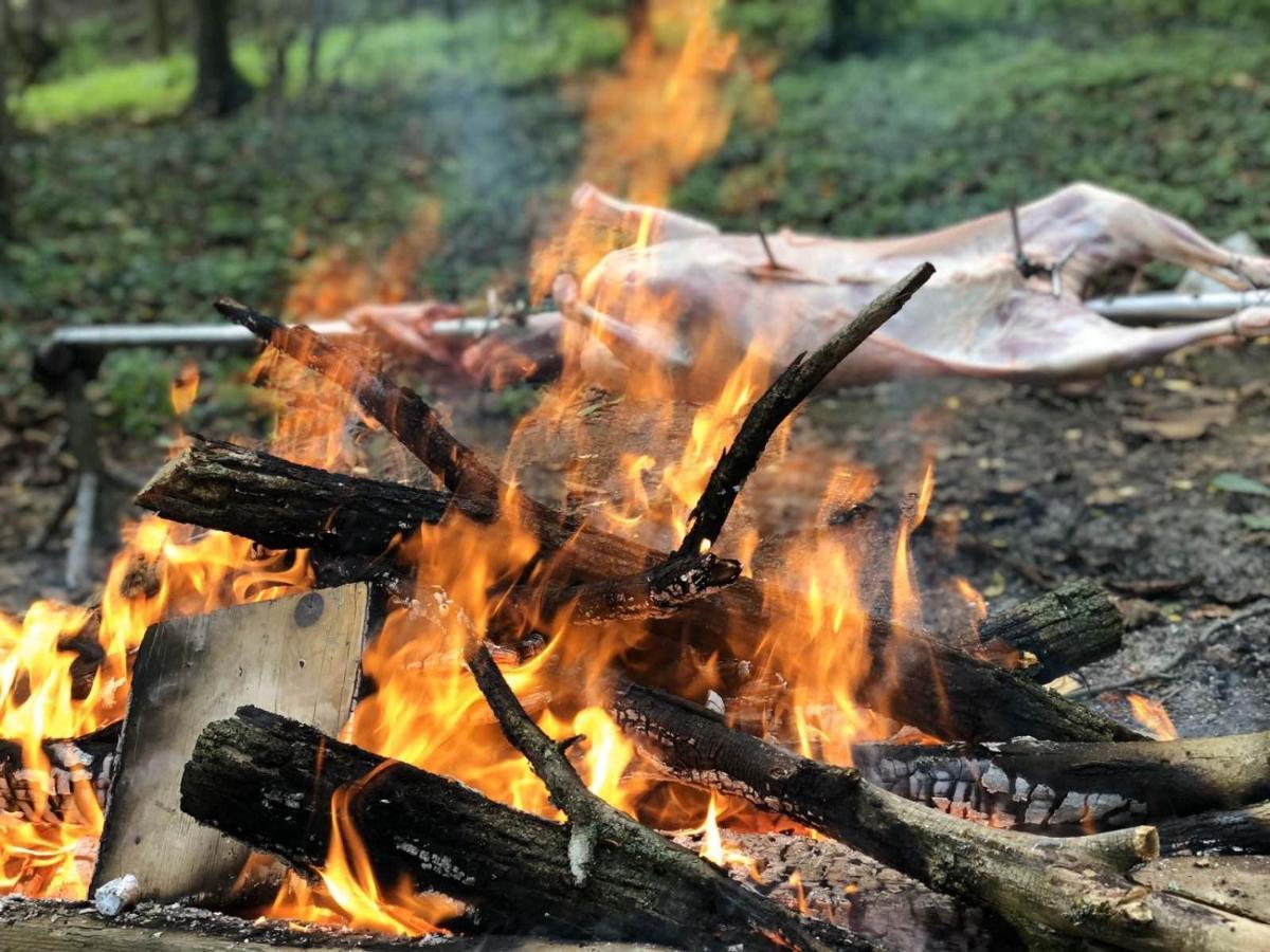 Baranja Black Hill'S Gajic Buitenkant foto