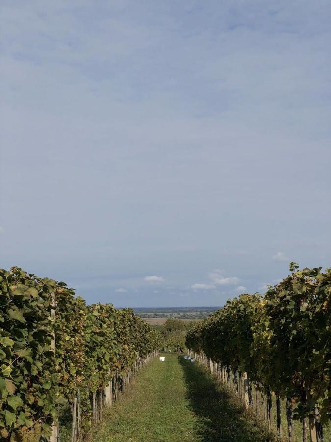 Baranja Black Hill'S Gajic Buitenkant foto