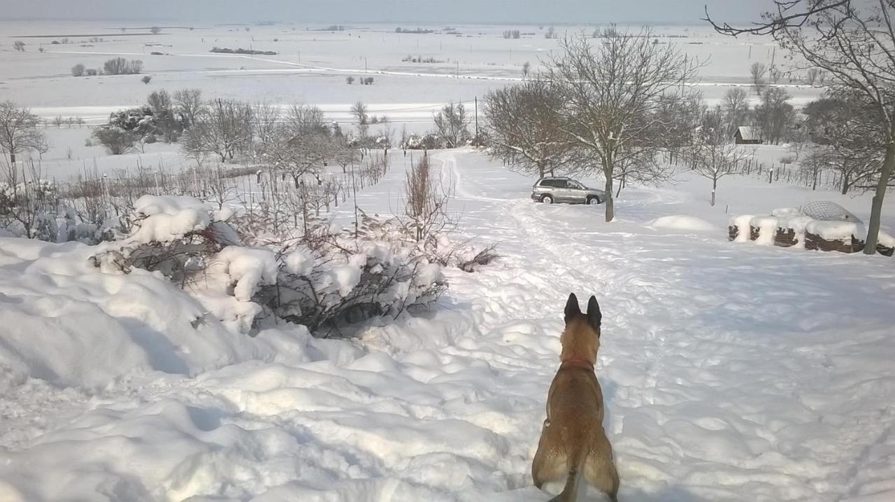 Baranja Black Hill'S Gajic Buitenkant foto