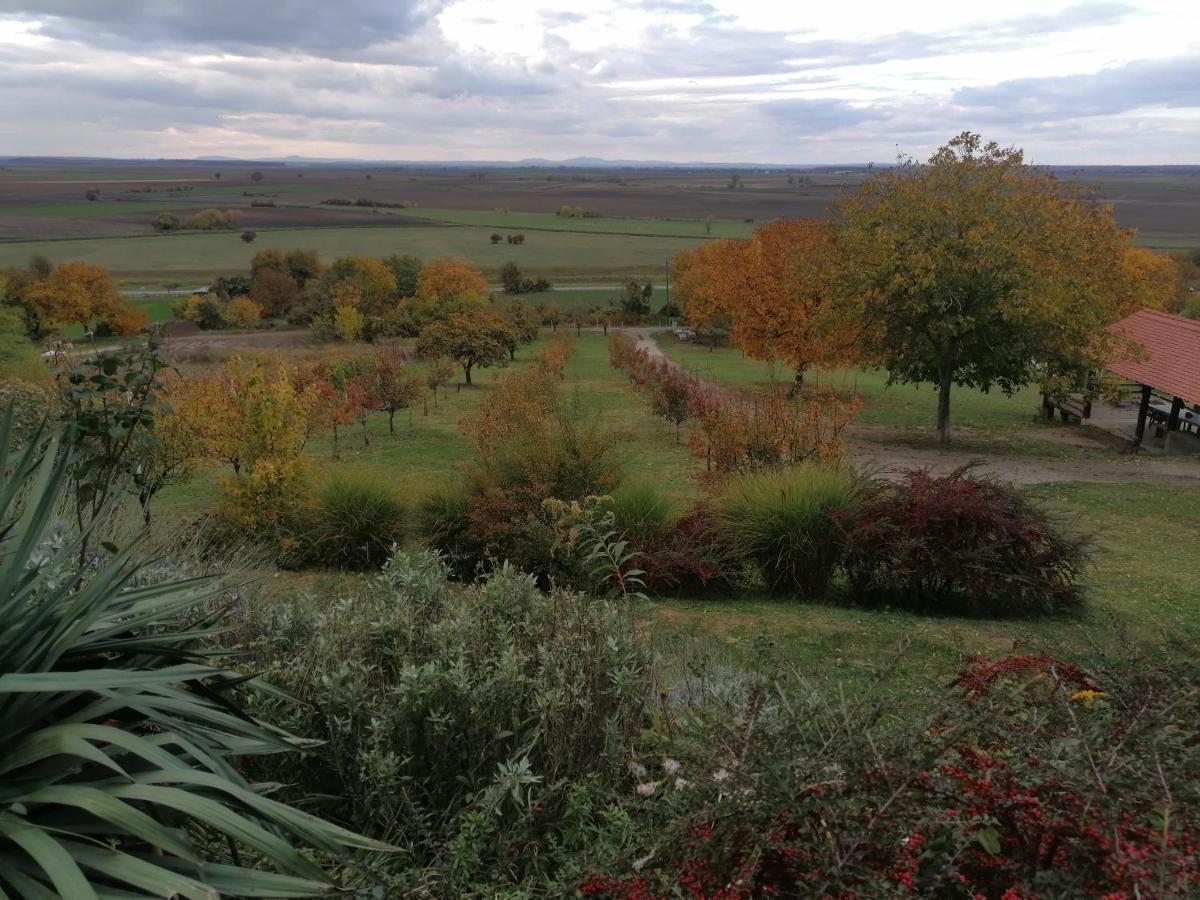 Baranja Black Hill'S Gajic Buitenkant foto