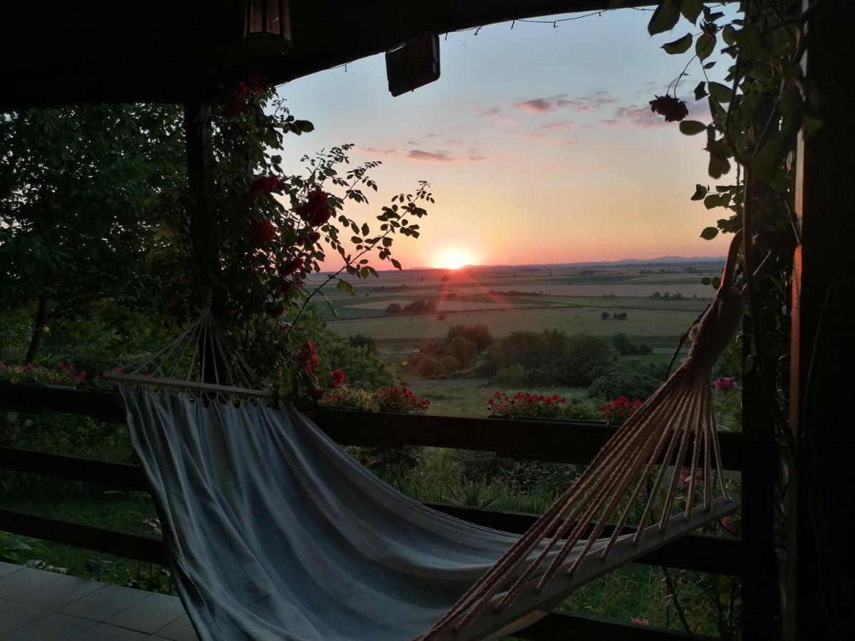 Baranja Black Hill'S Gajic Buitenkant foto