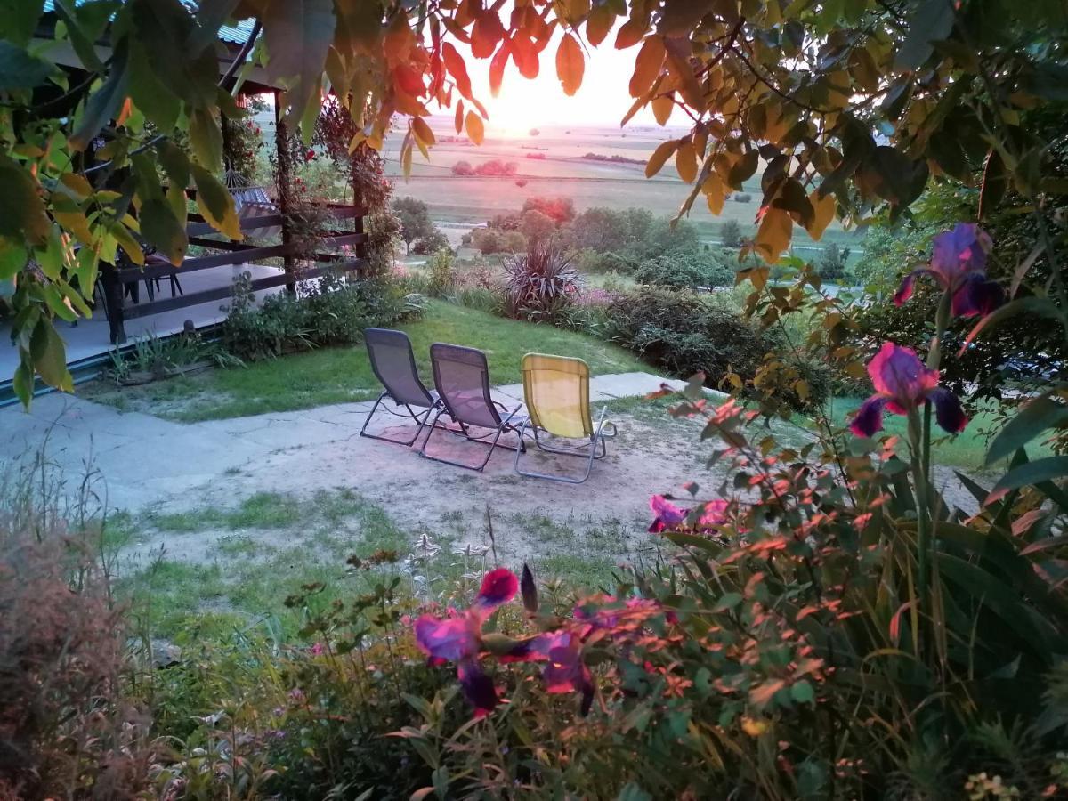 Baranja Black Hill'S Gajic Buitenkant foto