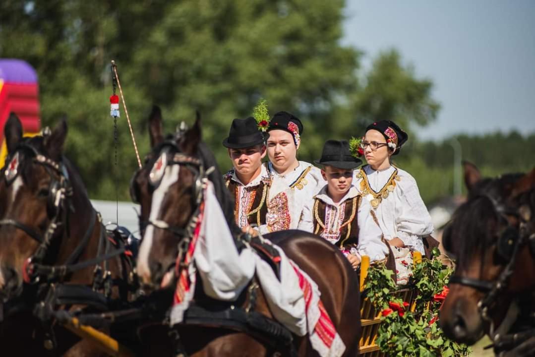 Baranja Black Hill'S Gajic Buitenkant foto