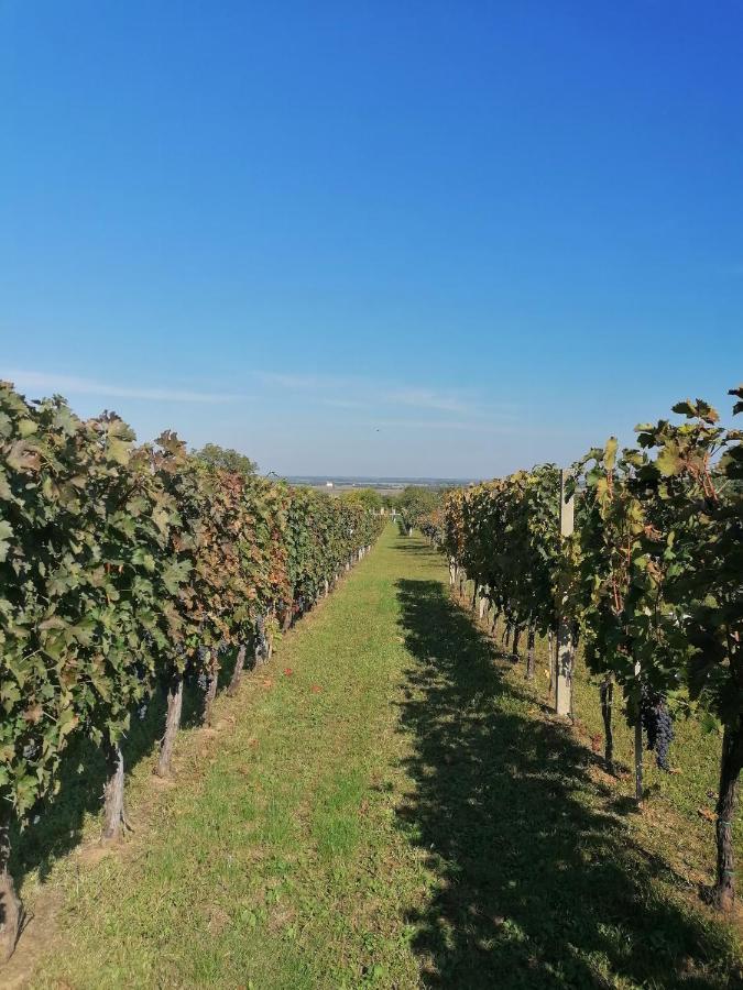 Baranja Black Hill'S Gajic Buitenkant foto