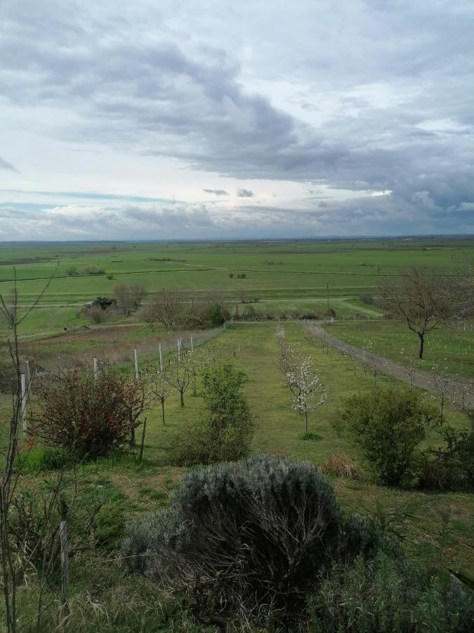 Baranja Black Hill'S Gajic Buitenkant foto